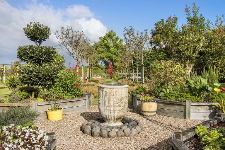 Photo of property in 101 Woodland Road, Tahawai, Katikati, 3170