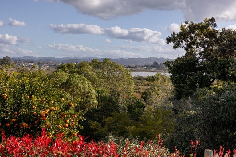 Photo of property in 58 Hall Road, Matua, Tauranga, 3110