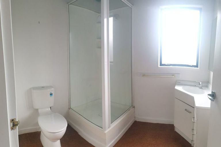 Photo of property in 133 Hornsey Road, Melrose, Wellington, 6023
