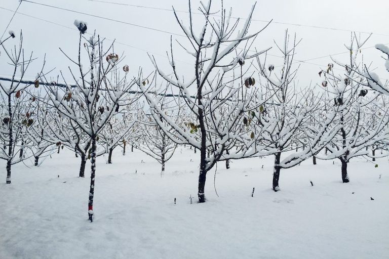 Photo of property in 66 Gladsmuir Road, Queensberry, Cromwell, 9383