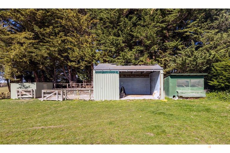 Photo of property in 260 Downs Road, Geraldine Downs, Geraldine, 7991