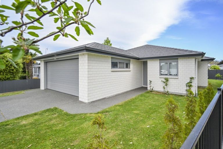 Photo of property in 506 Henry Street, Raureka, Hastings, 4120