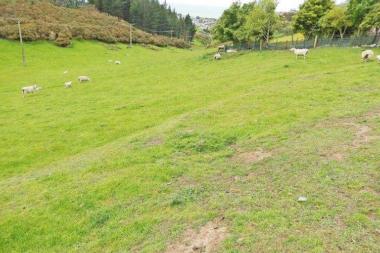 Photo of property in 119 Reservoir Road, Oamaru North, Oamaru, 9400