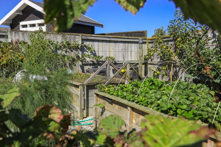 Photo of property in 22 Merrimana Drive, Thames, 3500