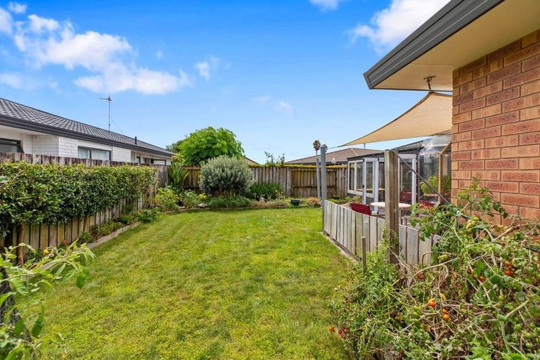 Photo of property in 16 Kentia Avenue, Mount Maunganui, 3116