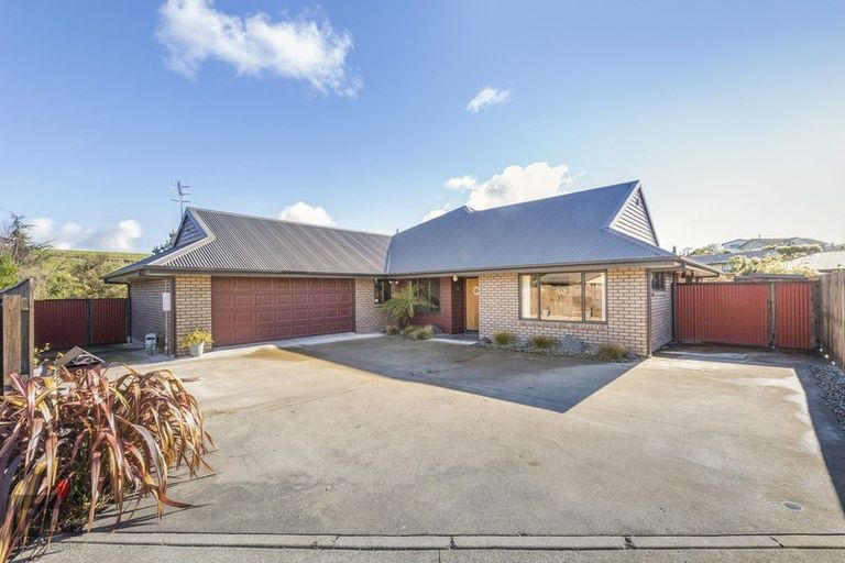 Photo of property in 95 Fraser Drive, Feilding, 4702