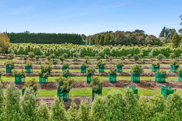 Photo of property in 120 Patons Rock Road, Patons Rock, Takaka, 7182