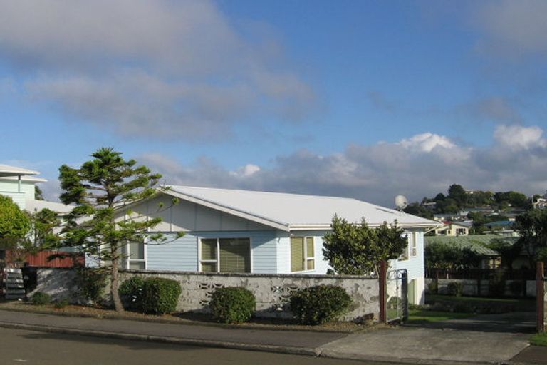Photo of property in 9 Pelorous Street, Paparangi, Wellington, 6037