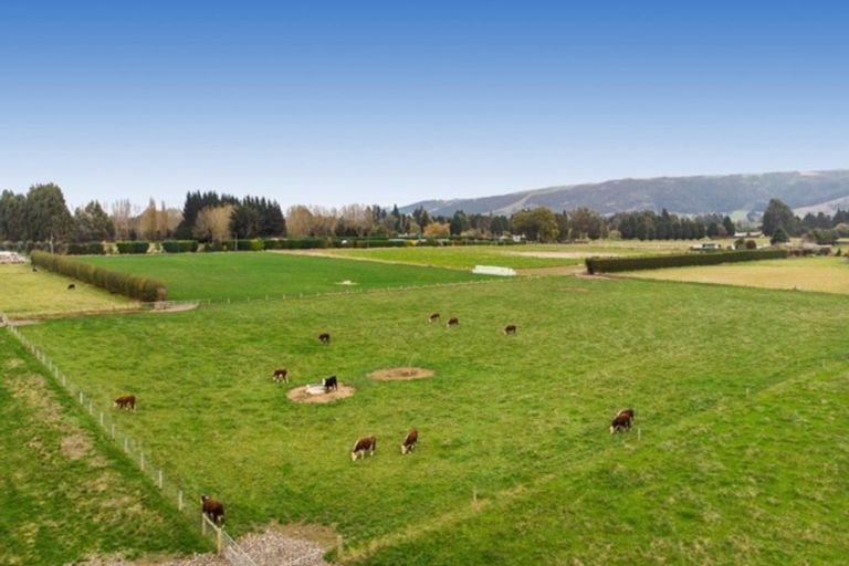 Photo of property in 101 Dukes Road North, Mosgiel, 9092