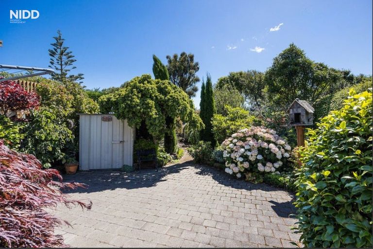 Photo of property in 65 Hunt Street, Andersons Bay, Dunedin, 9013
