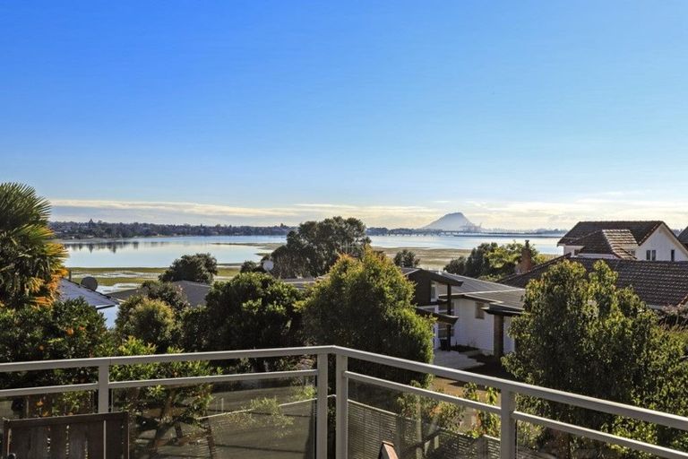 Photo of property in 240 Maungatapu Road, Maungatapu, Tauranga, 3112