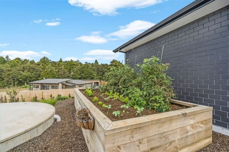 Photo of property in 130 Karanui Road, Te Kamo, Kamo, 0185