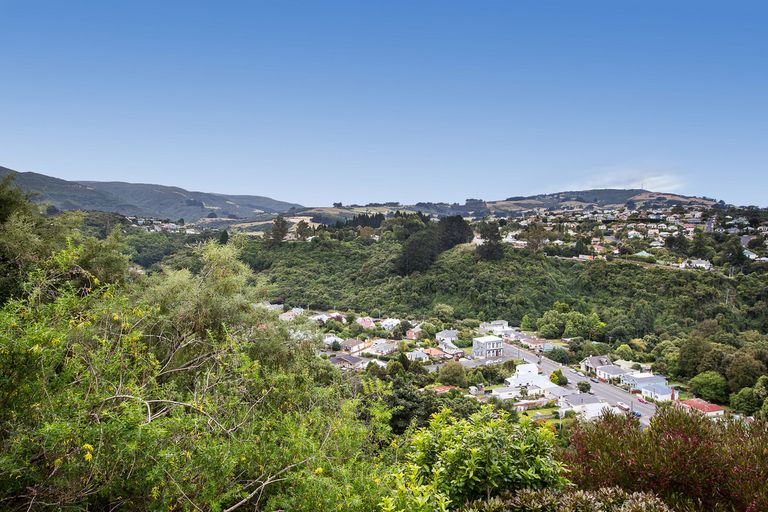 Photo of property in 6d Dudley Place, Maori Hill, Dunedin, 9010
