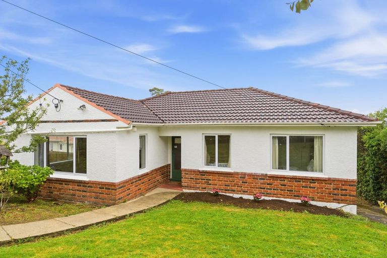 Photo of property in 177 Signal Hill Road, Opoho, Dunedin, 9010