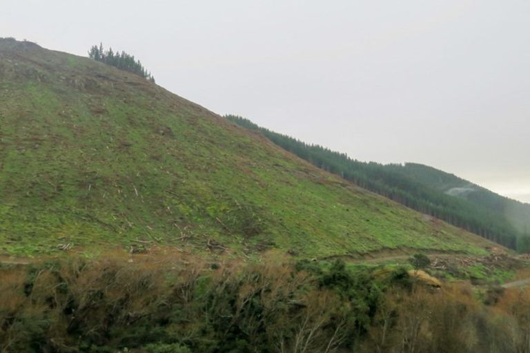 Photo of property in 3224 Waihopai Valley Road, Waihopai Valley, Blenheim, 7276