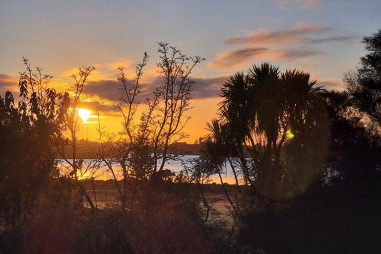 Photo of property in 1 Fern Way, Brookfield, Tauranga, 3110