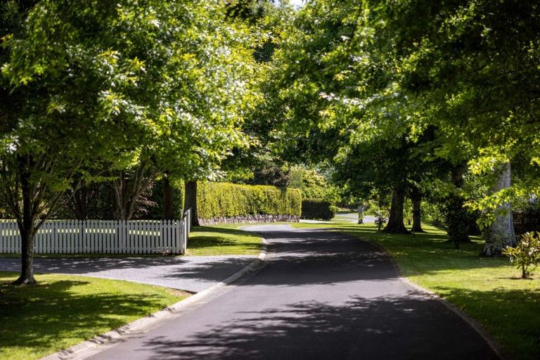 Photo of property in 129ra Moffat Road, Bethlehem, Tauranga, 3110