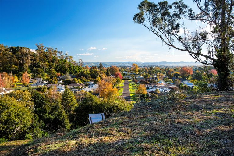Photo of property in 71 Seddon Crescent, Whataupoko, Gisborne, 4010