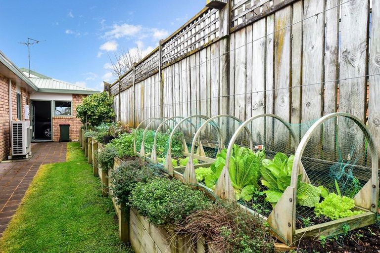 Photo of property in 6 Hubert Place, Chartwell, Hamilton, 3210