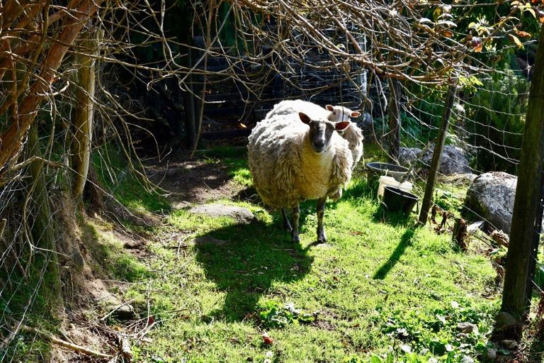 Photo of property in 6 Arapito Road, Karamea, 7893