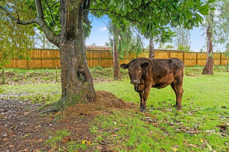 Photo of property in 50 Lochmaben Road, Tokoroa, 3420