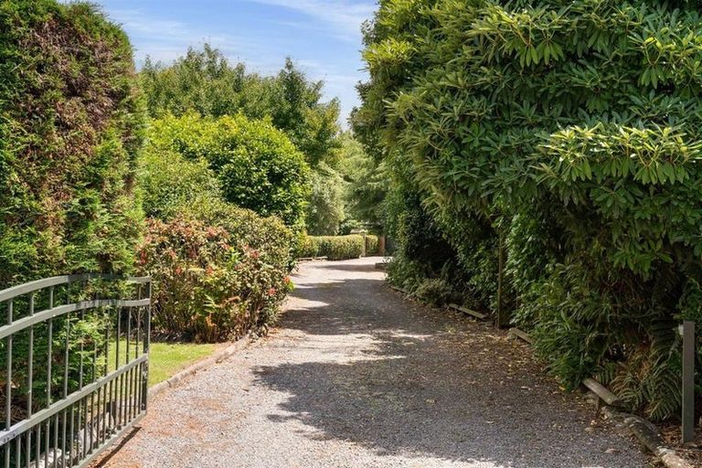 Photo of property in 928 Omanawa Road, Omanawa, Tauranga, 3171