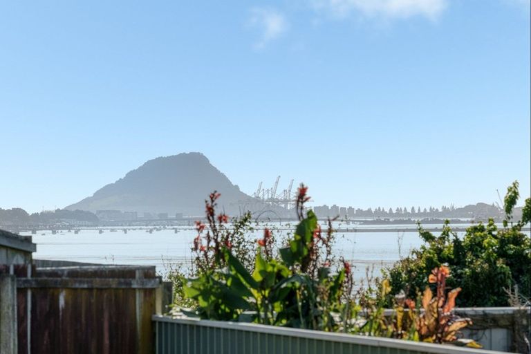 Photo of property in 17 Vine Avenue, Maungatapu, Tauranga, 3112