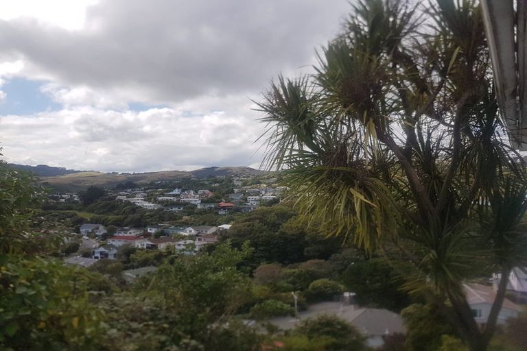 Photo of property in 38 Bassett Road, Johnsonville, Wellington, 6037