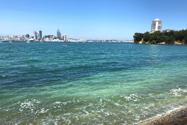 Photo of property in 58/45 Stanley Road, Stanley Point, Auckland, 0624