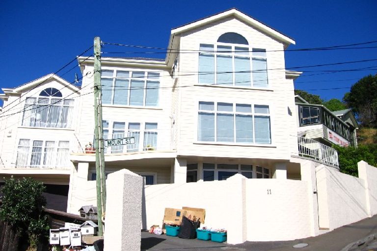 Photo of property in 11b Mount Street, Te Aro, Wellington, 6011