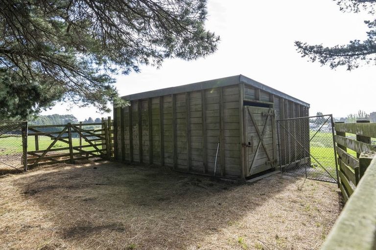 Photo of property in 42 Falcon Street, Palmerston, 9430