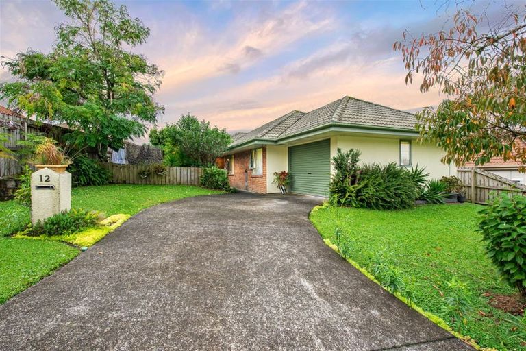 Photo of property in 12 Cretian Crescent, Henderson, Auckland, 0612