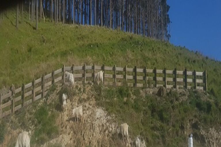 Photo of property in 724 Waikare Road, Waerenga, Te Kauwhata, 3781
