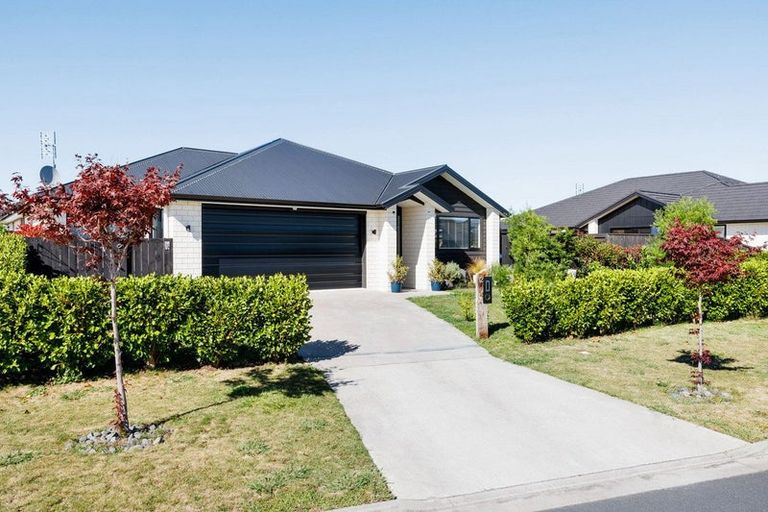 Photo of property in 12 Ruru Street, Cambridge, 3434