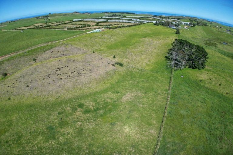 Photo of property in 42 Redhill Cemetery Road, Te Kopuru, 0371