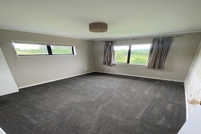 Photo of property in 374 Youngson Road, Whakamarama, Tauranga, 3179