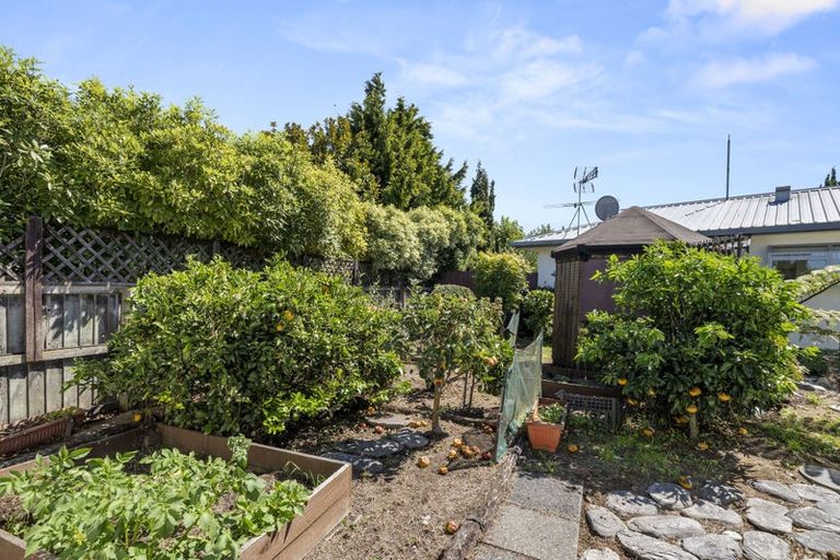 Photo of property in 16 Gilbert Street, Amberley, 7410