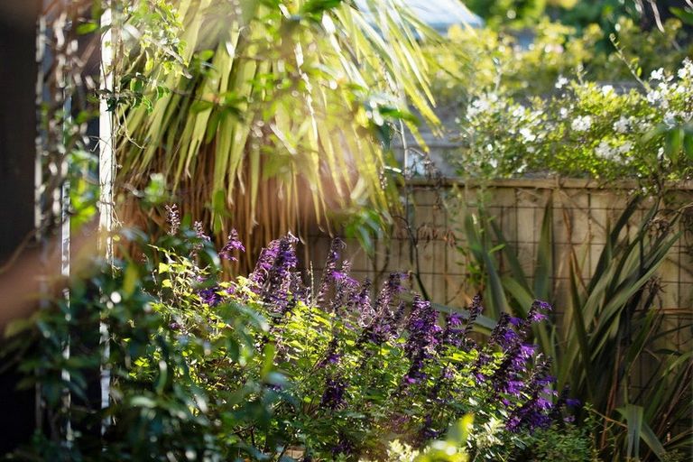 Photo of property in 46e Navigation Drive, Whitby, Porirua, 5024