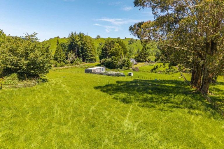 Photo of property in 143a Otapouri Road, Owhango, 3989