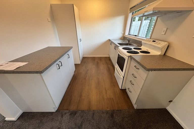 Photo of property in 1/113 Warren Crescent, Hillmorton, Christchurch, 8025