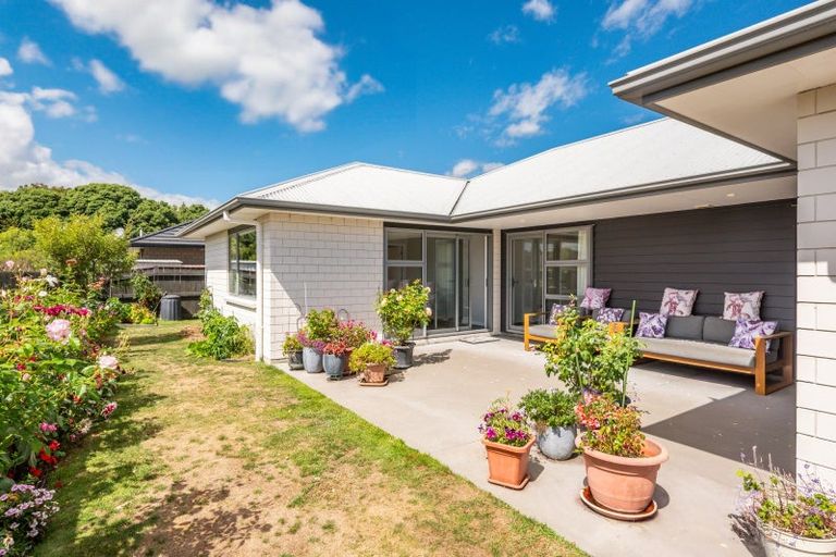 Photo of property in 24 Barry Curtis Place, Levin, 5510