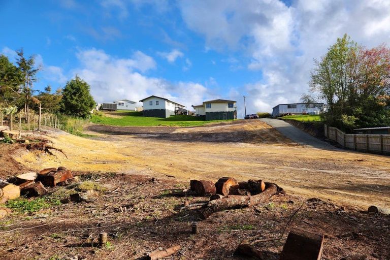 Photo of property in 51 Albert Street, Kawakawa, 0210