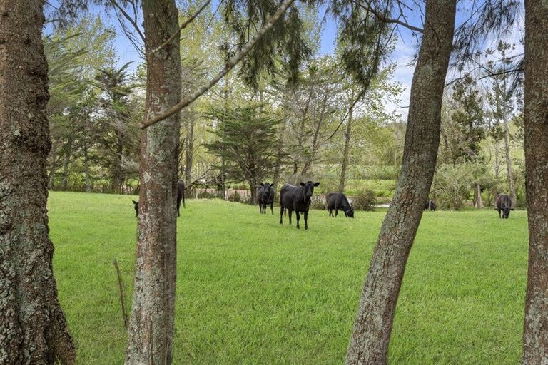 Photo of property in 336 Ireland Road, Waitoki, Kaukapakapa, 0871