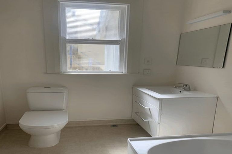 Photo of property in 43 Plunket Street, Kelburn, Wellington, 6012