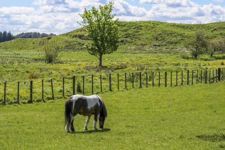 Photo of property in 1168 Oturoa Road, Hamurana, Rotorua, 3072