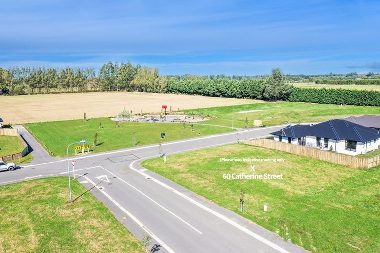 Photo of property in 60 Catherine Street, Tinwald, Ashburton, 7700