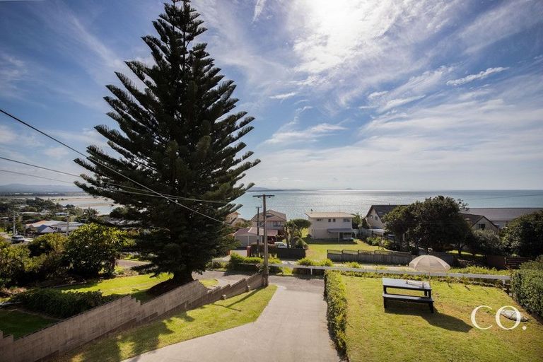 Photo of property in 93 Town Point Road, Maketu, 3189