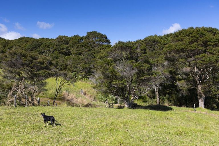 Photo of property in 383 Okahu Road, Kaitaia, 0481