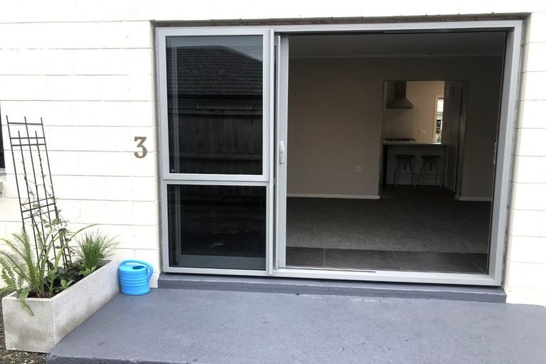 Photo of property in 103 Nixon Street, Hamilton East, Hamilton, 3216