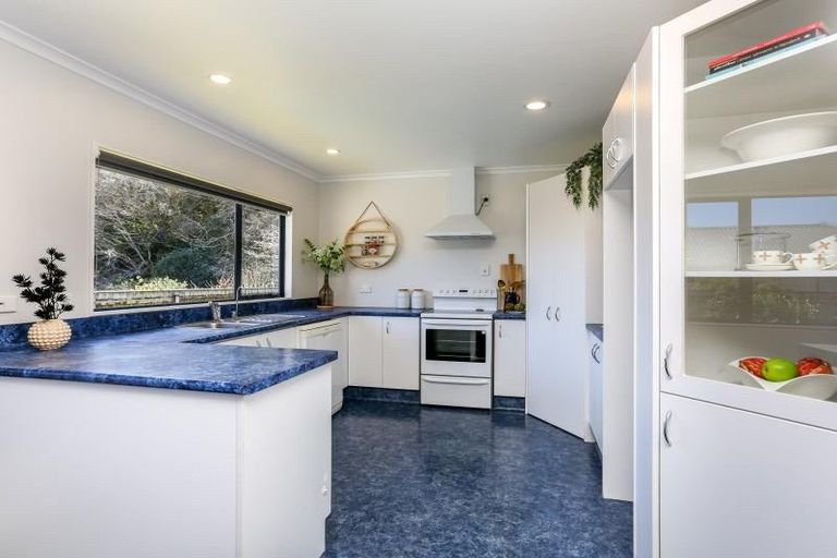 Photo of property in 55 Roto Street, Hurdon, New Plymouth, 4310